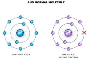 Radicali liberi e antiossidanti, molecole