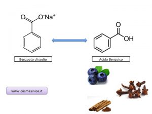 molecole dei conservanti