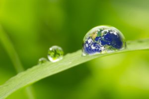 certificazioni nei cosmetici certificazioni nei cosmetici
