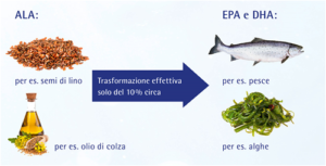 omega 3 cibi contenenti omega 3