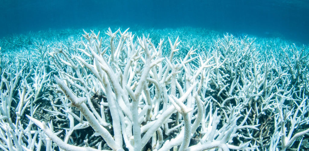 creme solari sostenibili