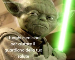 rinforzare le difese immunitarie rinforzare le difese immunitarie