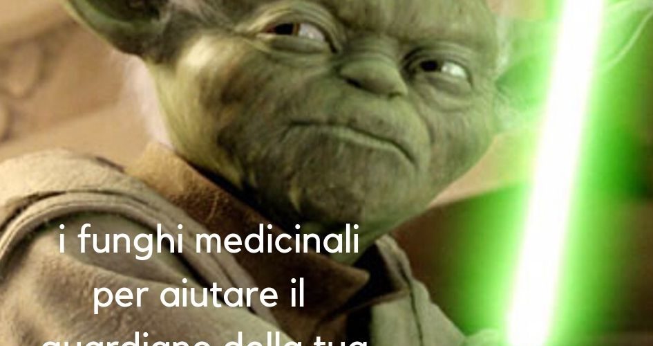 rinforzare le difese immunitarie